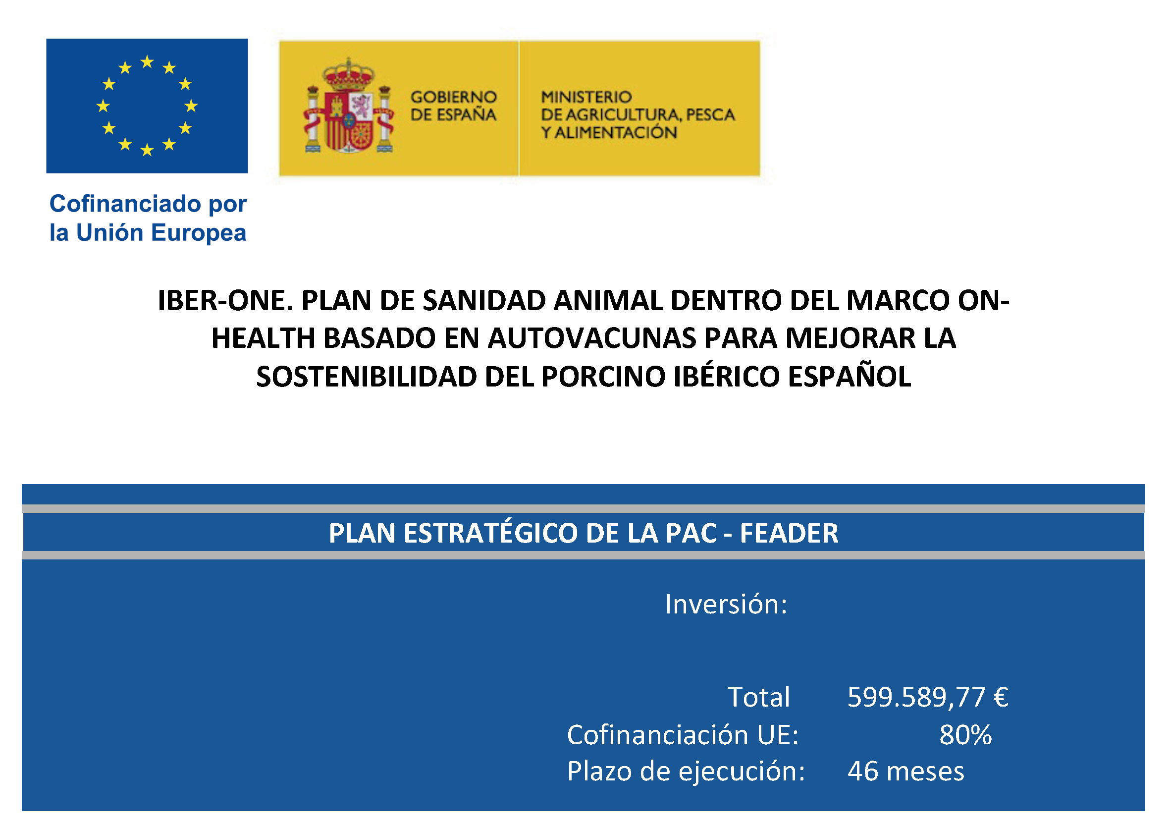Cartel del proyecto IBER-ONE