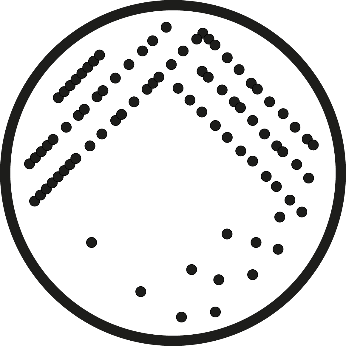 microbiologia
